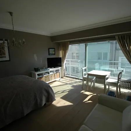 Studio In Het Zoute Lejlighed *